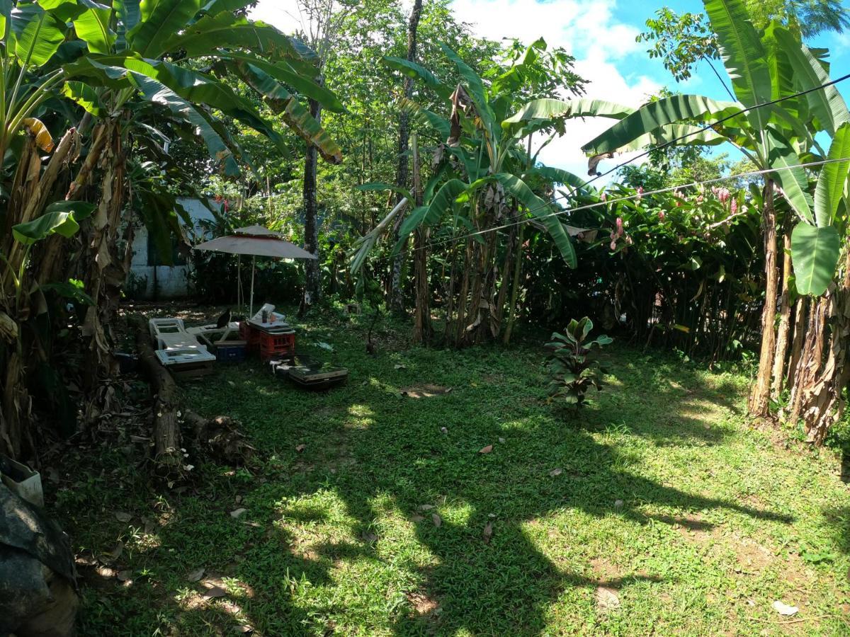 Reciclarte Galeria Hostal Capurganá エクステリア 写真
